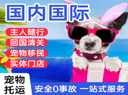 威海空运国际宠物托运 【国